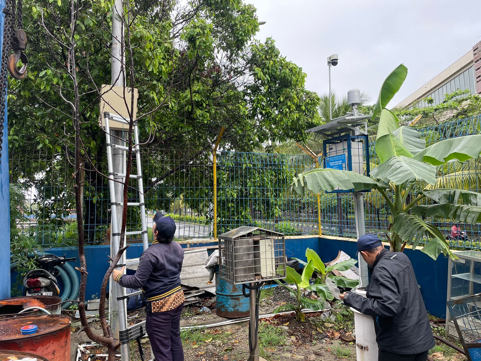 KALIBRASI ALAT DENGAN PEILSCHAAL, DAN PENOPINGAN DAHAN POHON YANG MENGHALANGI TOPPING BUCKET, RESTART ALAT AWLR DI PA. MARINA ANCOL